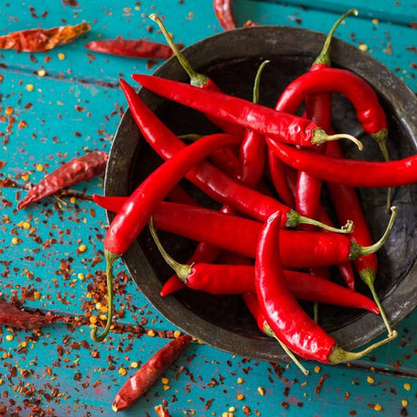Papryczka chili