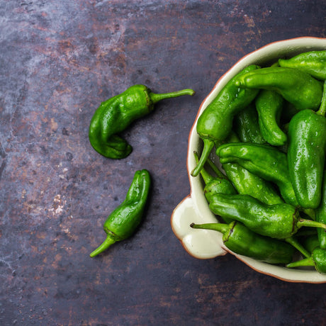 Papryczki jalapeno