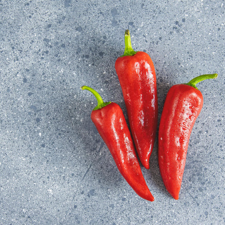Papryka kapia