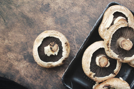 Pieczarki portobello